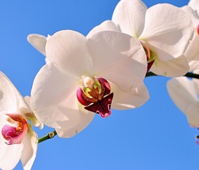 石景山正规助孕捐卵机构，附正规捐卵机构报名表！